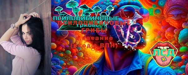 мяу мяу мука Липки