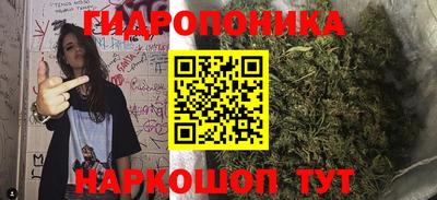 индика Берёзовский