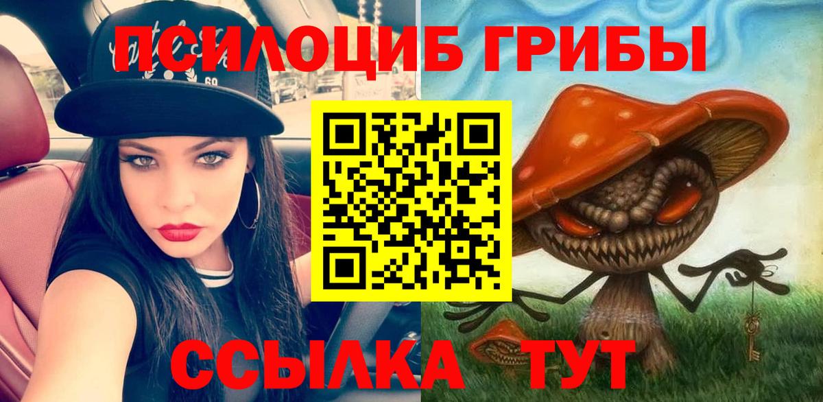 цена наркотик  Вход с VPN  Комсомольск-на-Амуре  Галлюциногенные грибы Cubensis  Галлюциногенные грибы Magic Shrooms 